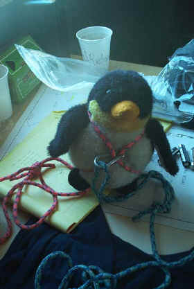 WadT1.jpg (40790 bytes)