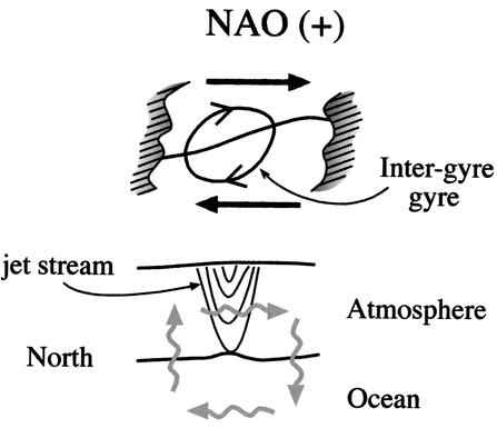 Part III: Midlatitude Variability