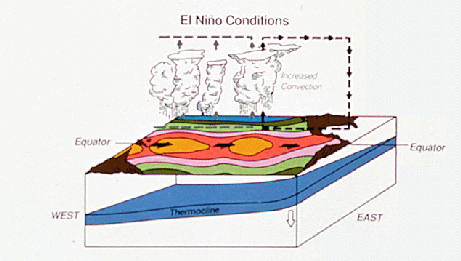 Part II: Tropical Atmosphere/Ocean Interaction