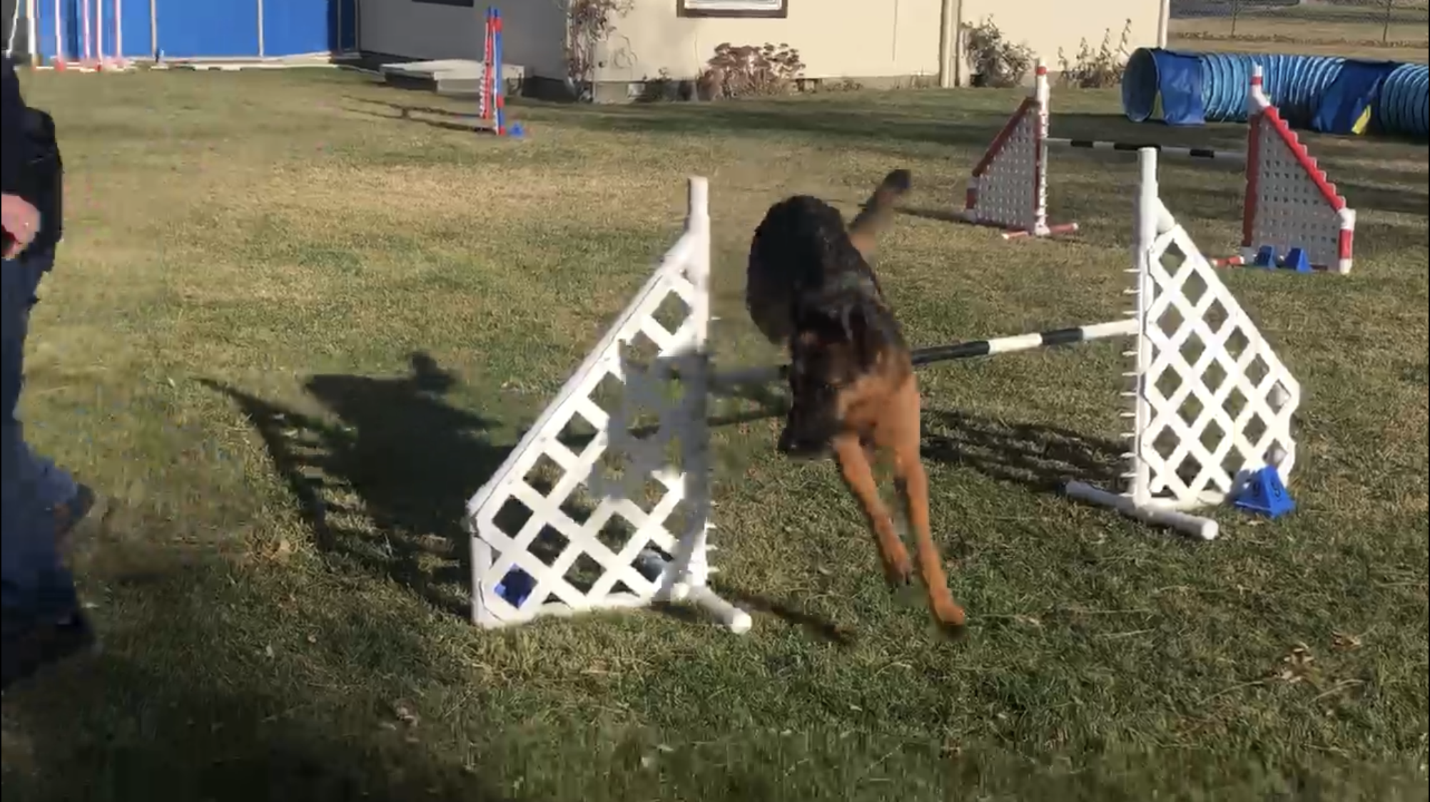 jumping