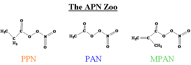 PAN zoo